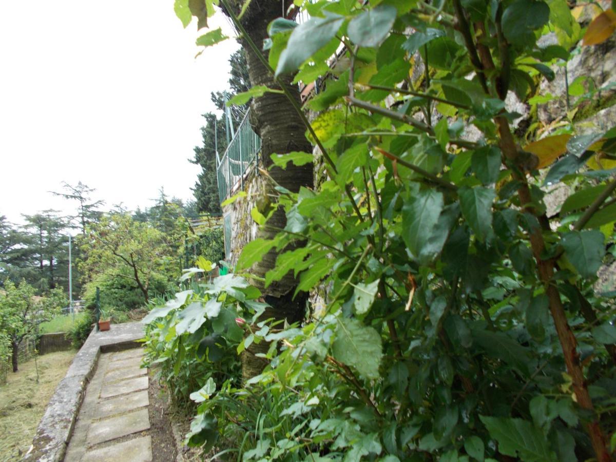La Vecchia Locanda Castelnuovo di Val di Cecina Eksteriør bilde