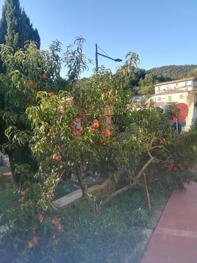 La Vecchia Locanda Castelnuovo di Val di Cecina Eksteriør bilde